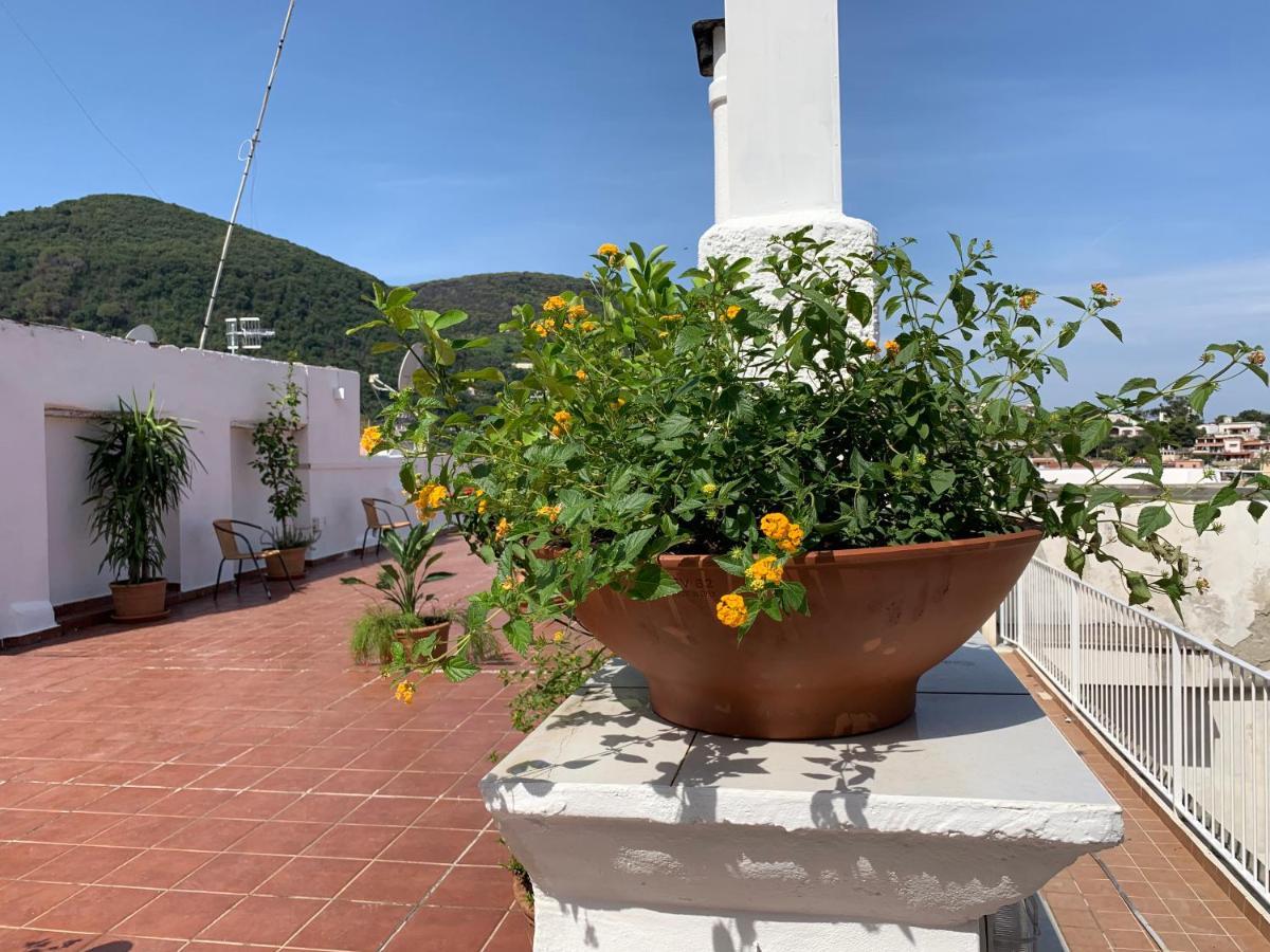 Molo35 Bed & Breakfast Ischia Exterior photo